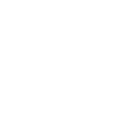 coding